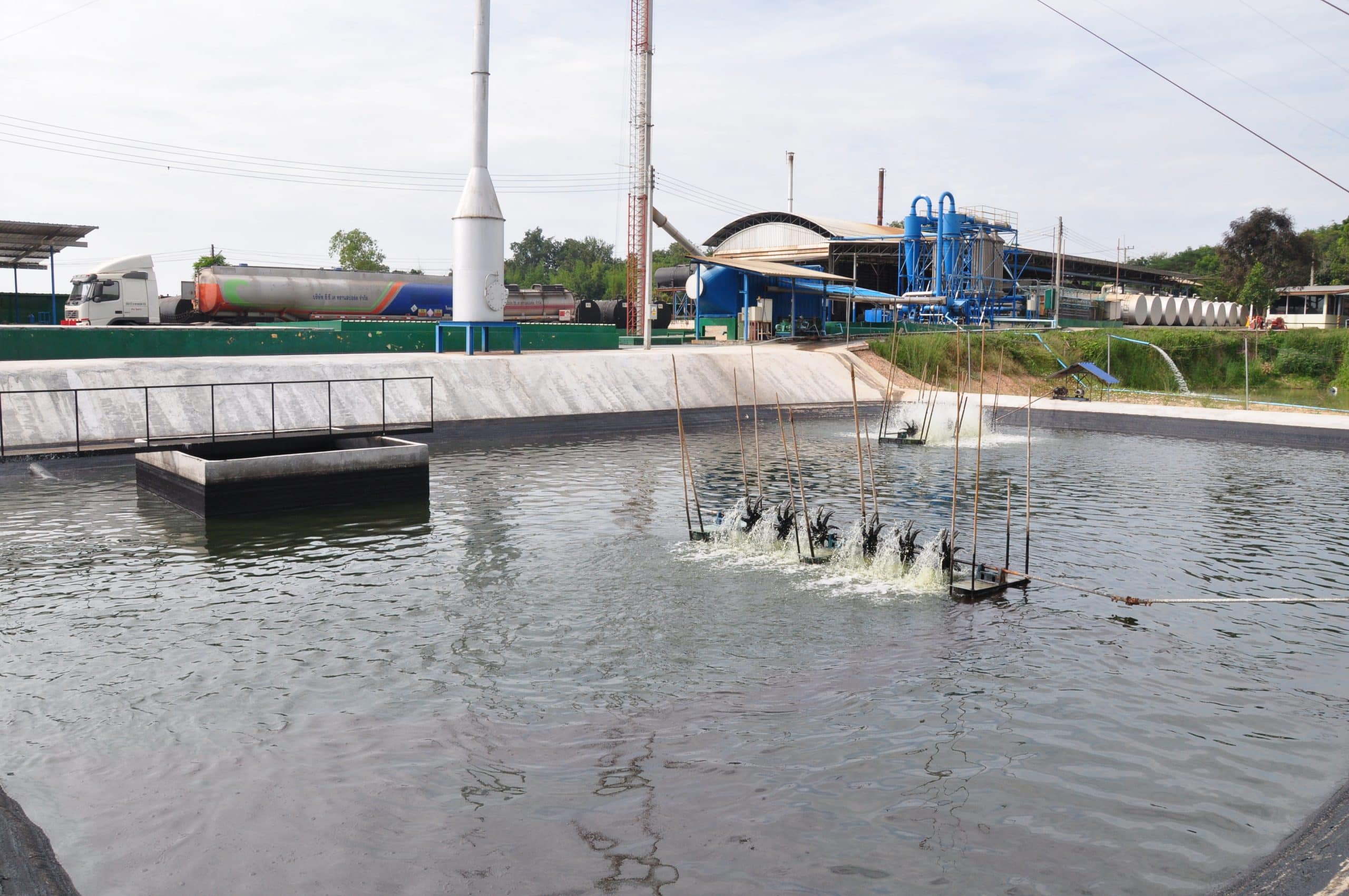 Wastewater treatment pond
